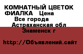 КОМНАТНЫЙ ЦВЕТОК -ФИАЛКА › Цена ­ 1 500 - Все города  »    . Астраханская обл.,Знаменск г.